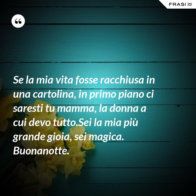 Se la mia vita fosse racchiusa in una cartolina, in primo piano ci saresti tu mamma, la donna a cui devo tutto.Sei la mia più grande gioia, sei magica. Buonanotte. - Anonimo