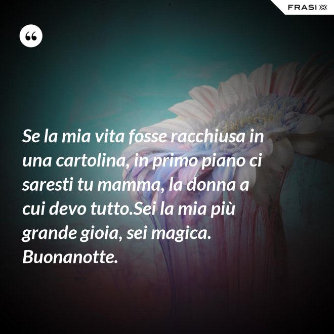 Se la mia vita fosse racchiusa in una cartolina, in primo piano ci saresti tu mamma, la donna a cui devo tutto.Sei la mia più grande gioia, sei magica. Buonanotte. - Anonimo