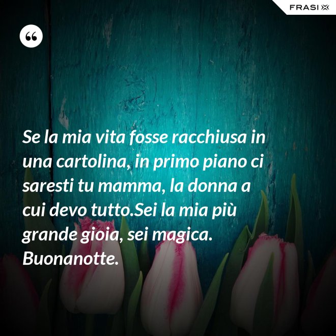 Se la mia vita fosse racchiusa in una cartolina, in primo piano ci saresti tu mamma, la donna a cui devo tutto.Sei la mia più grande gioia, sei magica. Buonanotte. - Anonimo