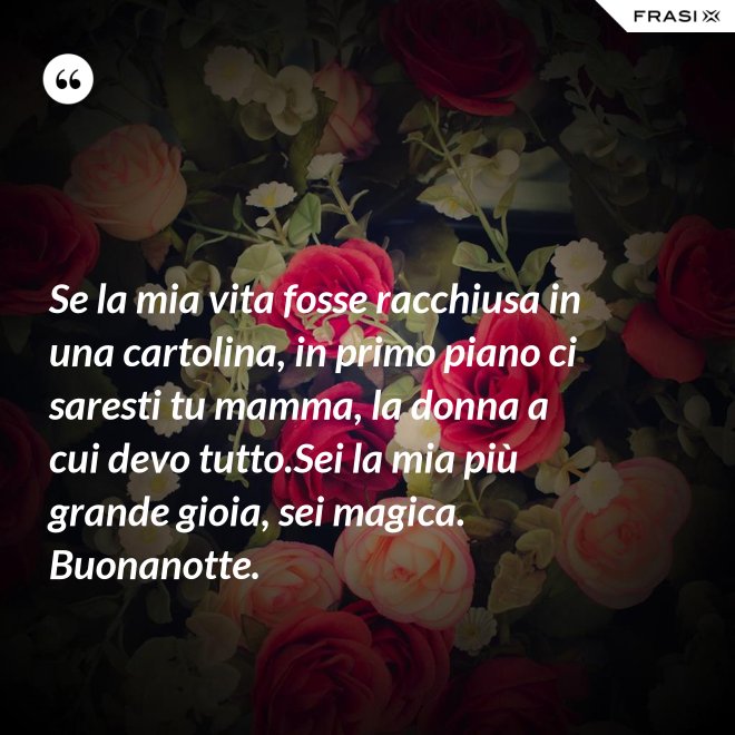 Se la mia vita fosse racchiusa in una cartolina, in primo piano ci saresti tu mamma, la donna a cui devo tutto.Sei la mia più grande gioia, sei magica. Buonanotte. - Anonimo