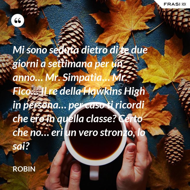Mi sono seduta dietro di te due giorni a settimana per un anno… Mr. Simpatia… Mr. Fico… Il re della Hawkins High in persona… per caso ti ricordi che ero in quella classe? Certo che no… eri un vero stronzo, lo sai? - Robin