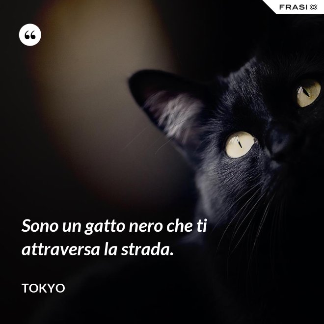 Sono un gatto nero che ti attraversa la strada. - Tokyo
