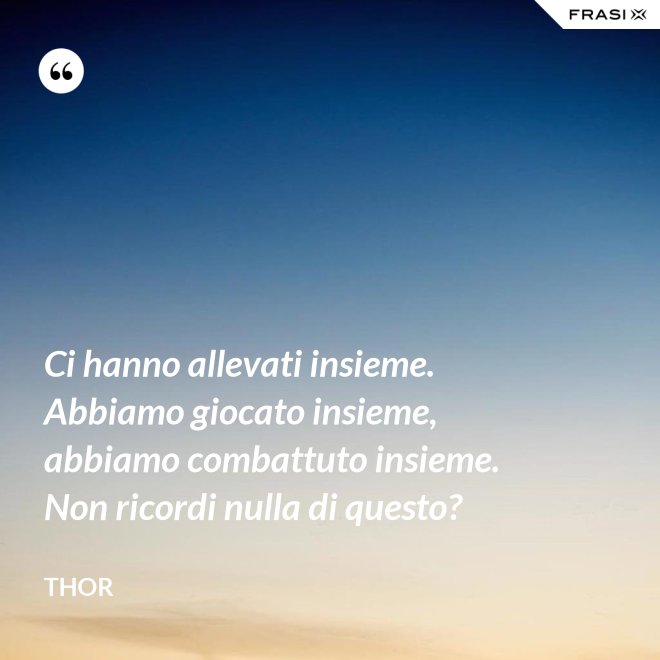 Ci hanno allevati insieme. Abbiamo giocato insieme, abbiamo combattuto insieme. Non ricordi nulla di questo? - Thor