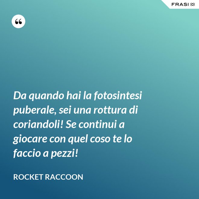 Da quando hai la fotosintesi puberale, sei una rottura di coriandoli! Se continui a giocare con quel coso te lo faccio a pezzi! - Rocket Raccoon