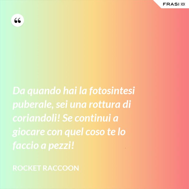 Da quando hai la fotosintesi puberale, sei una rottura di coriandoli! Se continui a giocare con quel coso te lo faccio a pezzi! - Rocket Raccoon