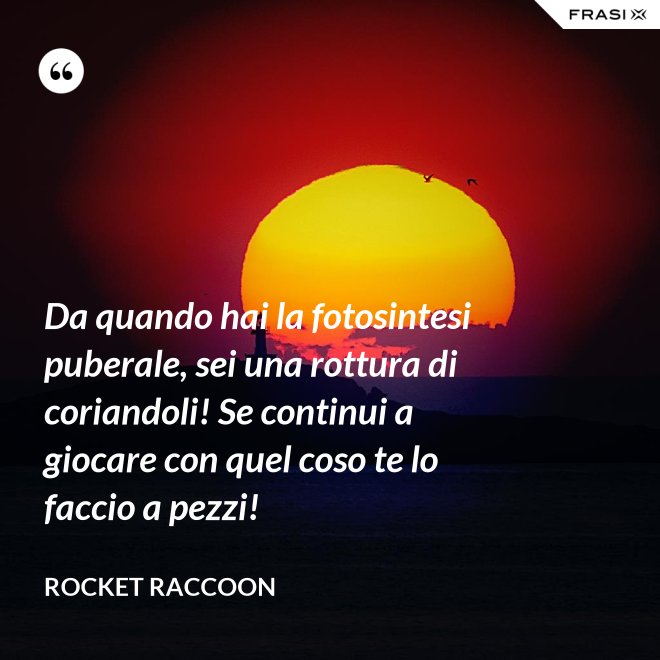 Da quando hai la fotosintesi puberale, sei una rottura di coriandoli! Se continui a giocare con quel coso te lo faccio a pezzi! - Rocket Raccoon