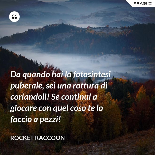 Da quando hai la fotosintesi puberale, sei una rottura di coriandoli! Se continui a giocare con quel coso te lo faccio a pezzi! - Rocket Raccoon