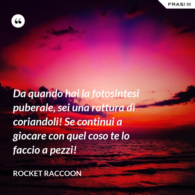 Da quando hai la fotosintesi puberale, sei una rottura di coriandoli! Se continui a giocare con quel coso te lo faccio a pezzi! - Rocket Raccoon