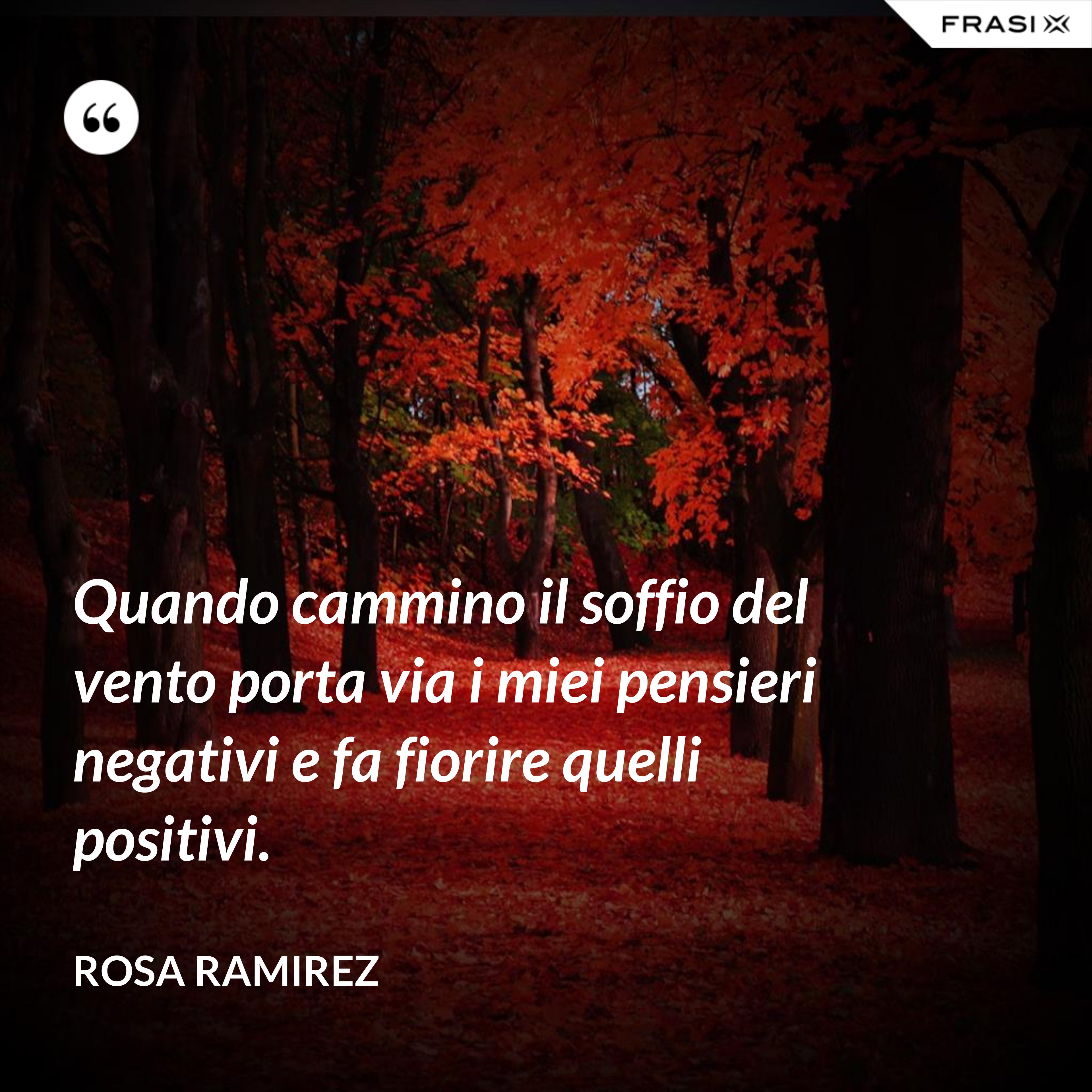 Quando cammino il soffio del vento porta via i miei pensieri negativi e fa fiorire quelli positivi. - Rosa Ramirez