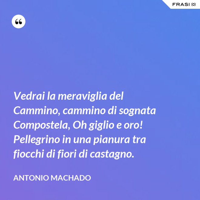 Vedrai la meraviglia del Cammino, cammino di sognata Compostela, Oh giglio e oro! Pellegrino in una pianura tra fiocchi di fiori di castagno. - Antonio Machado