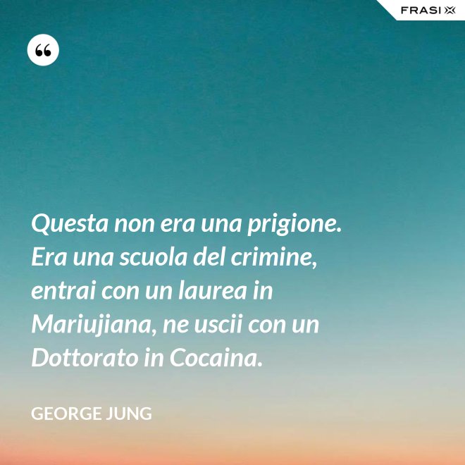 Questa non era una prigione. Era una scuola del crimine, entrai con un laurea in Mariujiana, ne uscii con un Dottorato in Cocaina. - George Jung