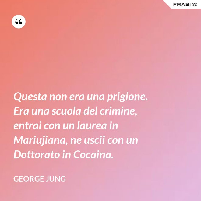 Questa non era una prigione. Era una scuola del crimine, entrai con un laurea in Mariujiana, ne uscii con un Dottorato in Cocaina. - George Jung
