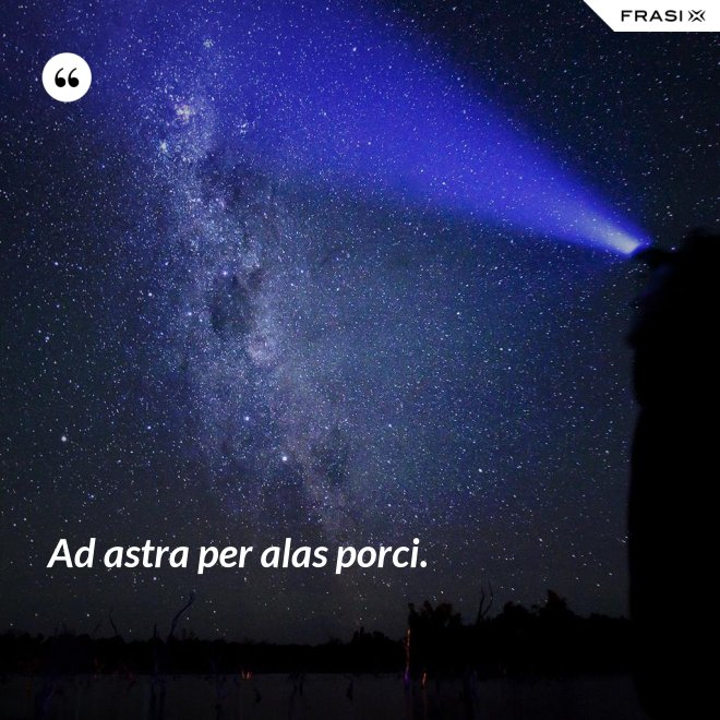Ad astra per alas porci. - Anonimo