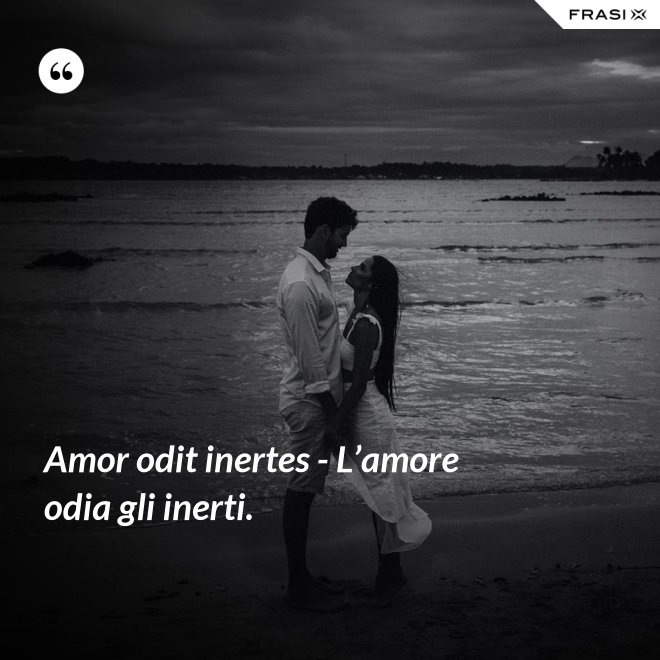 Amor odit inertes - L’amore odia gli inerti. - Anonimo