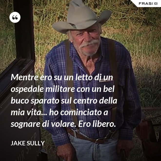 Mentre ero su un letto di un ospedale militare con un bel buco sparato sul centro della mia vita... ho cominciato a sognare di volare. Ero libero. - Jake Sully