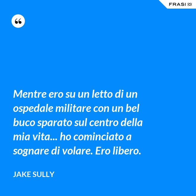 Mentre ero su un letto di un ospedale militare con un bel buco sparato sul centro della mia vita... ho cominciato a sognare di volare. Ero libero. - Jake Sully