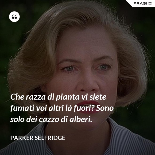 Che razza di pianta vi siete fumati voi altri là fuori? Sono solo dei cazzo di alberi. - Parker Selfridge
