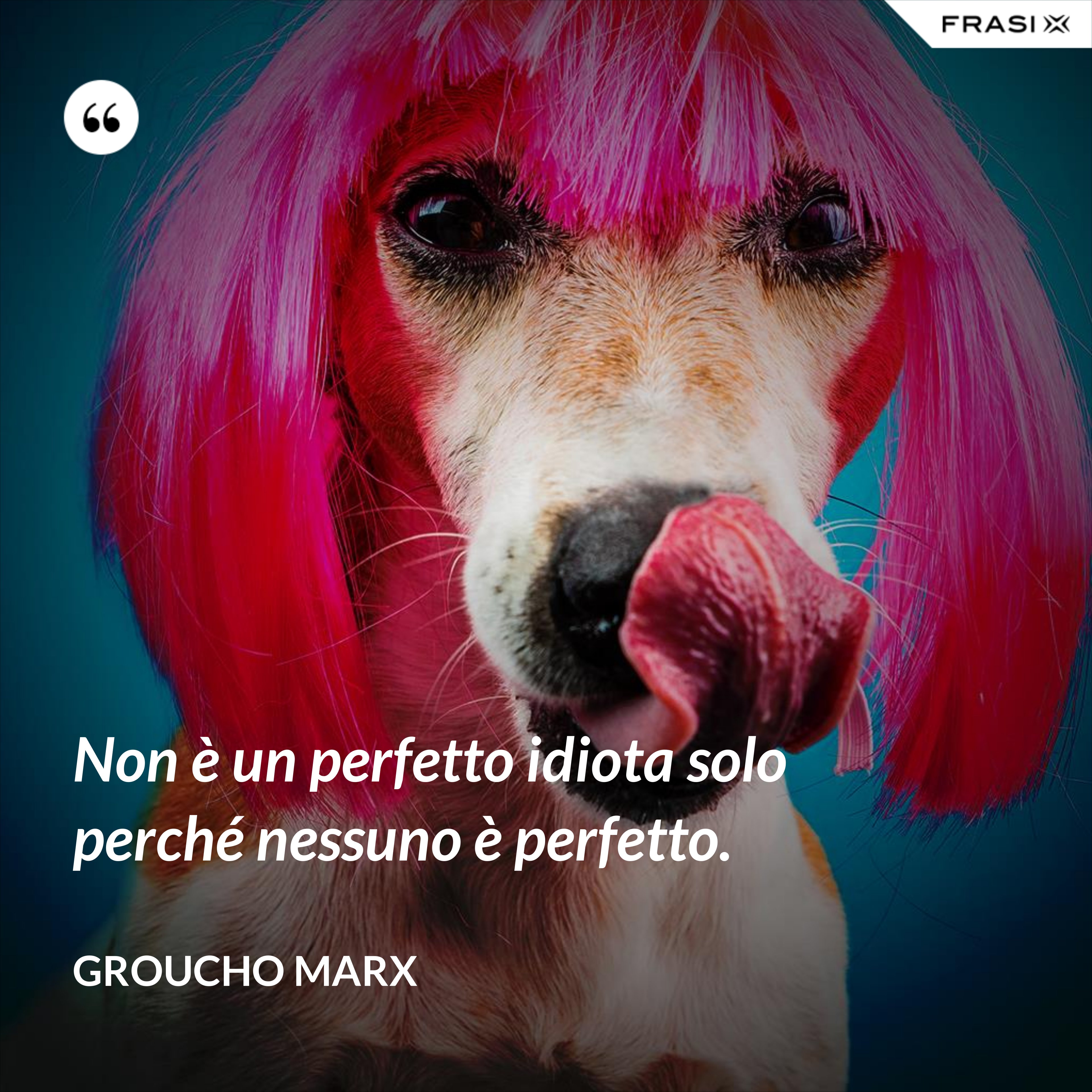 Non è un perfetto idiota solo perché nessuno è perfetto. - Groucho Marx