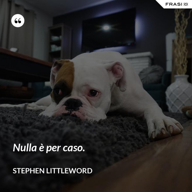 Nulla è per caso. - Stephen Littleword