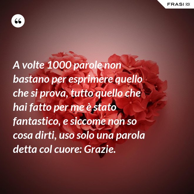 A volte 1000 parole non bastano per esprimere quello che si prova, tutto quello che hai fatto per me è stato fantastico, e siccome non so cosa dirti, uso solo una parola detta col cuore: Grazie. - Anonimo