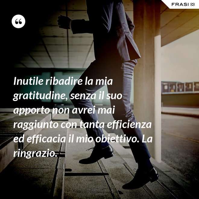 Inutile ribadire la mia gratitudine, senza il suo apporto non avrei mai raggiunto con tanta efficienza ed efficacia il mio obiettivo. La ringrazio. - Anonimo