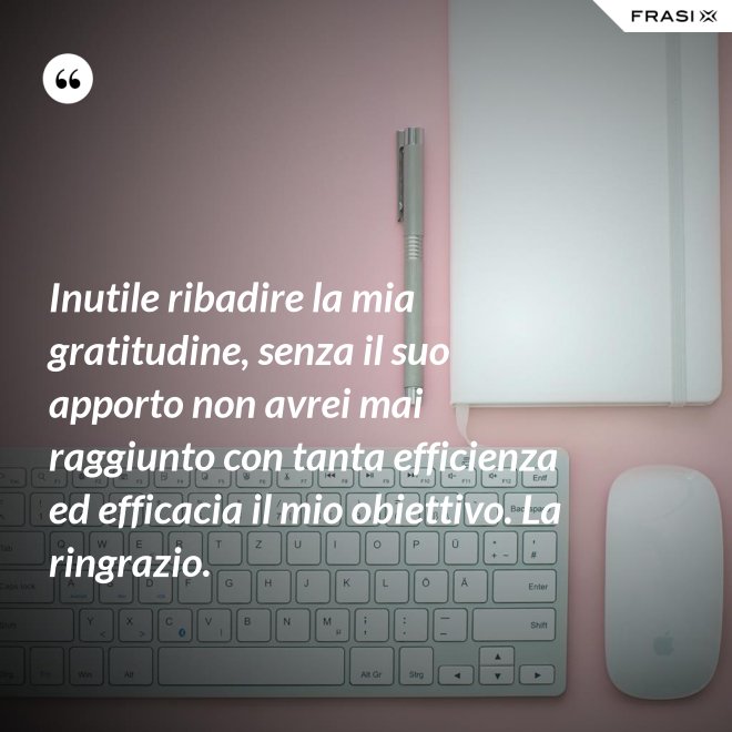 Inutile ribadire la mia gratitudine, senza il suo apporto non avrei mai raggiunto con tanta efficienza ed efficacia il mio obiettivo. La ringrazio. - Anonimo