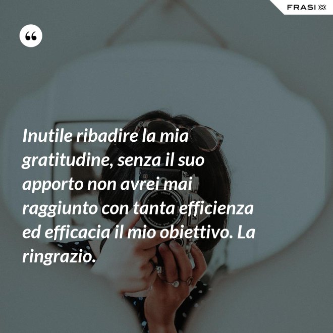 Inutile ribadire la mia gratitudine, senza il suo apporto non avrei mai raggiunto con tanta efficienza ed efficacia il mio obiettivo. La ringrazio. - Anonimo