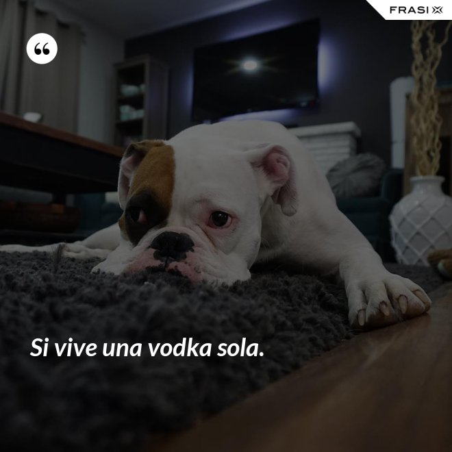 Si vive una vodka sola. - Anonimo