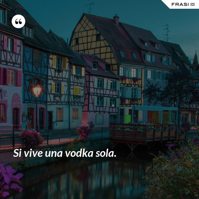 Si vive una vodka sola. - Anonimo