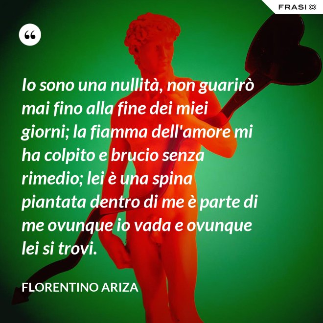 Io sono una nullità, non guarirò mai fino alla fine dei miei giorni; la fiamma dell'amore mi ha colpito e brucio senza rimedio; lei è una spina piantata dentro di me è parte di me ovunque io vada e ovunque lei si trovi. - Florentino Ariza
