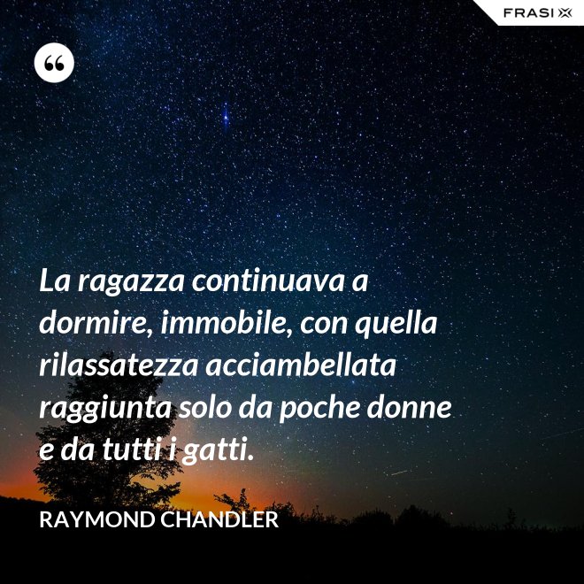 La ragazza continuava a dormire, immobile, con quella rilassatezza acciambellata raggiunta solo da poche donne e da tutti i gatti. - Raymond Chandler