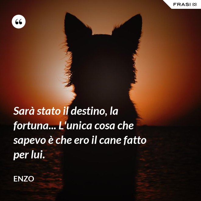 Sarà stato il destino, la fortuna... L'unica cosa che sapevo è che ero il cane fatto per lui. - Enzo