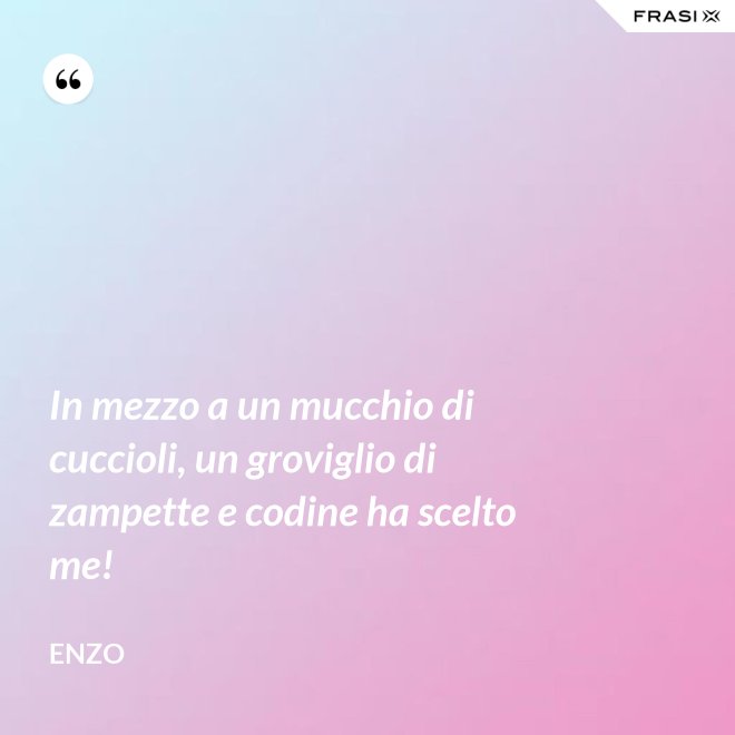 In mezzo a un mucchio di cuccioli, un groviglio di zampette e codine ha scelto me! - Enzo