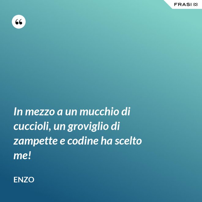 In mezzo a un mucchio di cuccioli, un groviglio di zampette e codine ha scelto me! - Enzo