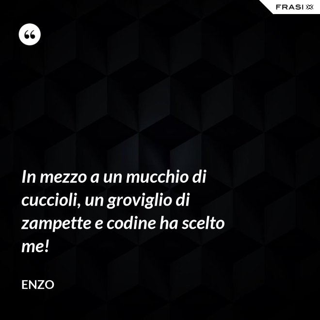 In mezzo a un mucchio di cuccioli, un groviglio di zampette e codine ha scelto me! - Enzo