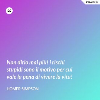 Non dirlo mai più! i rischi stupidi sono il motivo per cui vale la pena di vivere la vita! - Homer Simpson