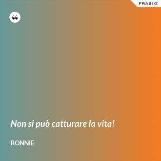 Non si può catturare la vita! - Ronnie