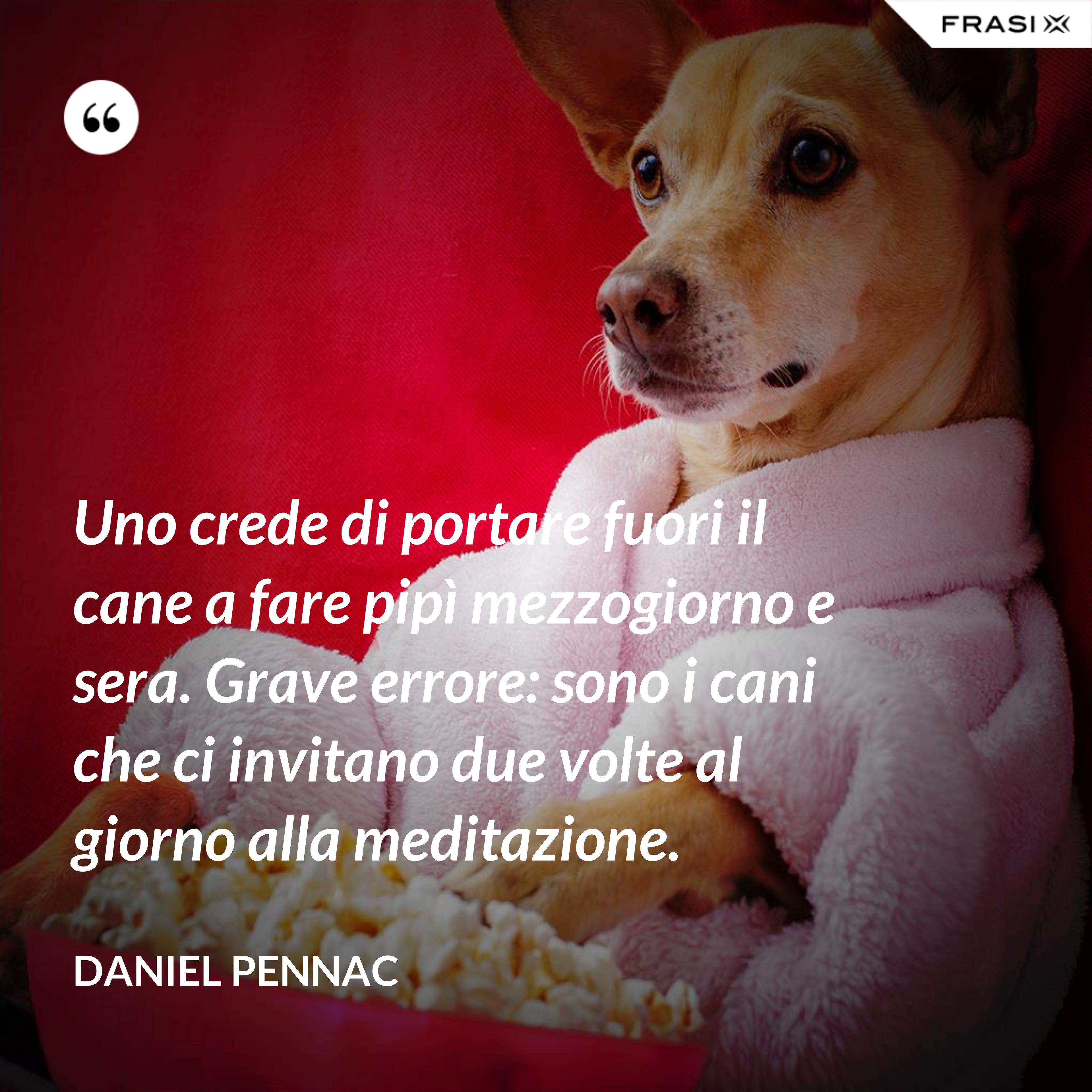 Uno crede di portare fuori il cane a fare pipì mezzogiorno e sera. Grave errore: sono i cani che ci invitano due volte al giorno alla meditazione. - Daniel Pennac