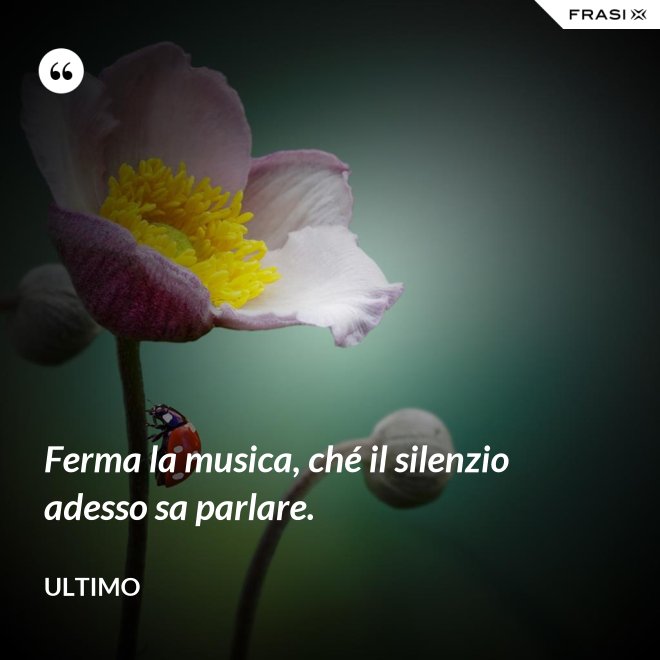 Ferma la musica, ché il silenzio adesso sa parlare. - Ultimo