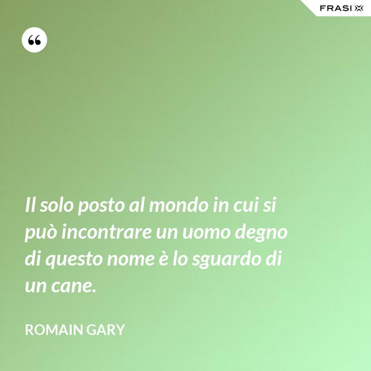 Il Solo Posto Al Mondo In Cui Si Puo Incontrare Un Uomo Degno Di Questo Nome E Lo Sguardo Di Un Cane