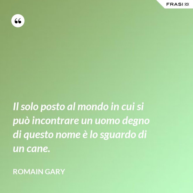 Il solo posto al mondo in cui si può incontrare un uomo degno di questo nome è lo sguardo di un cane. - Romain Gary