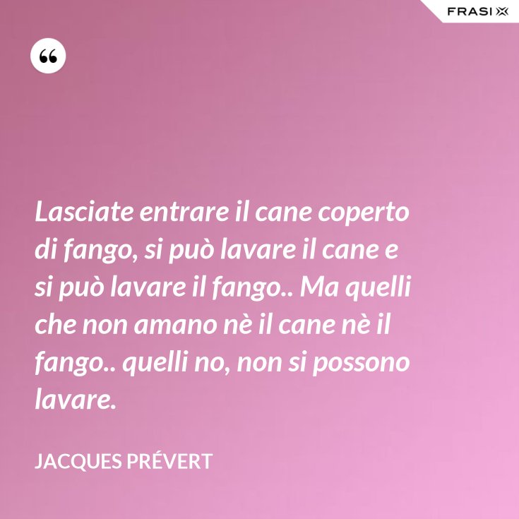 Lasciate Entrare Il Cane Coperto Di Fango