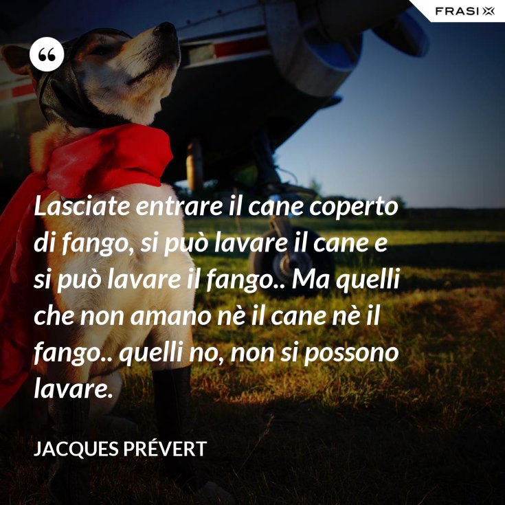 Lasciate Entrare Il Cane Coperto Di Fango