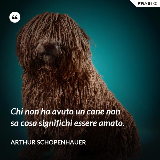 Chi non ha avuto un cane non sa cosa significhi essere amato. - Arthur Schopenhauer
