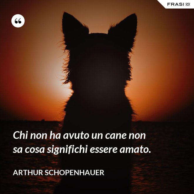 Chi non ha avuto un cane non sa cosa significhi essere amato. - Arthur Schopenhauer