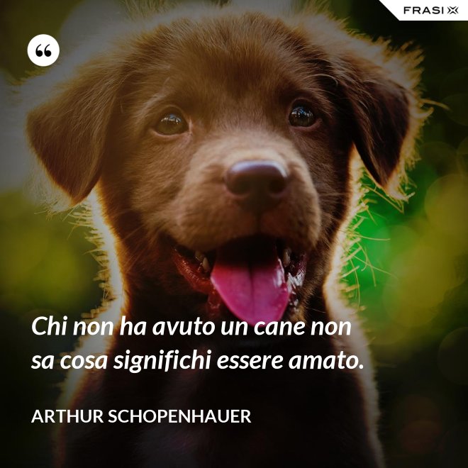 Chi non ha avuto un cane non sa cosa significhi essere amato. - Arthur Schopenhauer