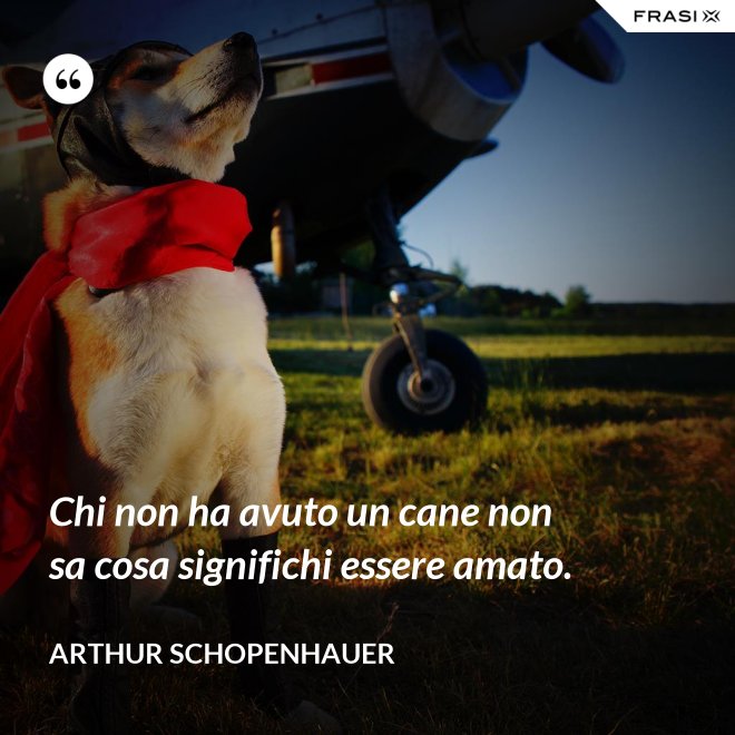 Chi non ha avuto un cane non sa cosa significhi essere amato. - Arthur Schopenhauer