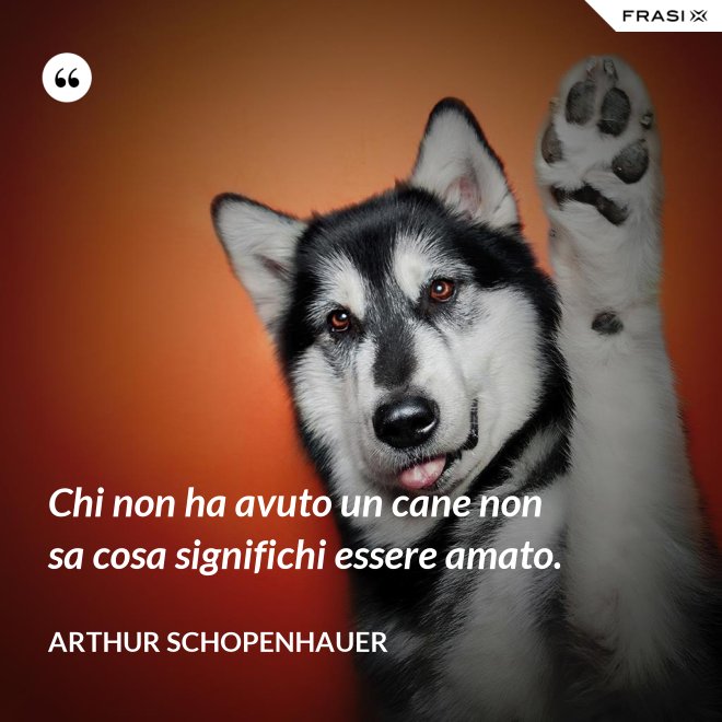 Chi non ha avuto un cane non sa cosa significhi essere amato. - Arthur Schopenhauer