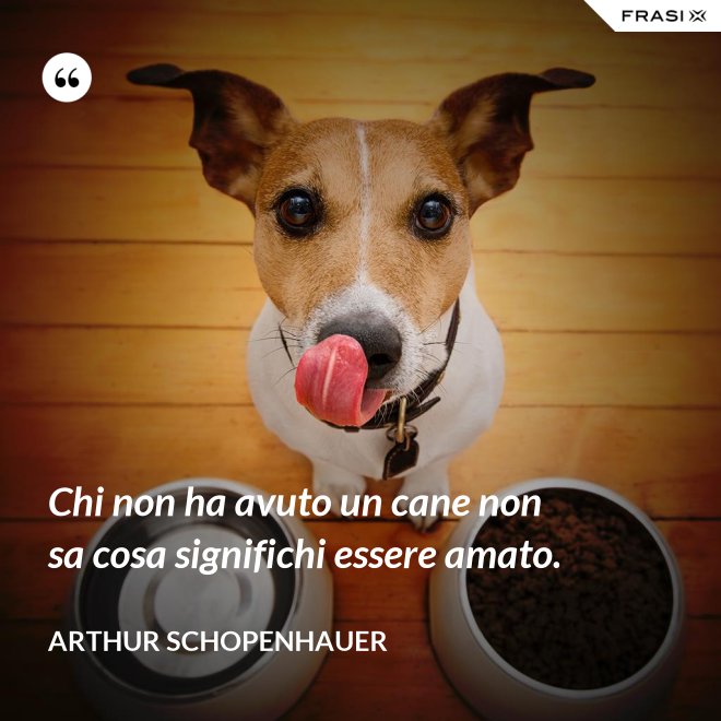 Chi non ha avuto un cane non sa cosa significhi essere amato. - Arthur Schopenhauer