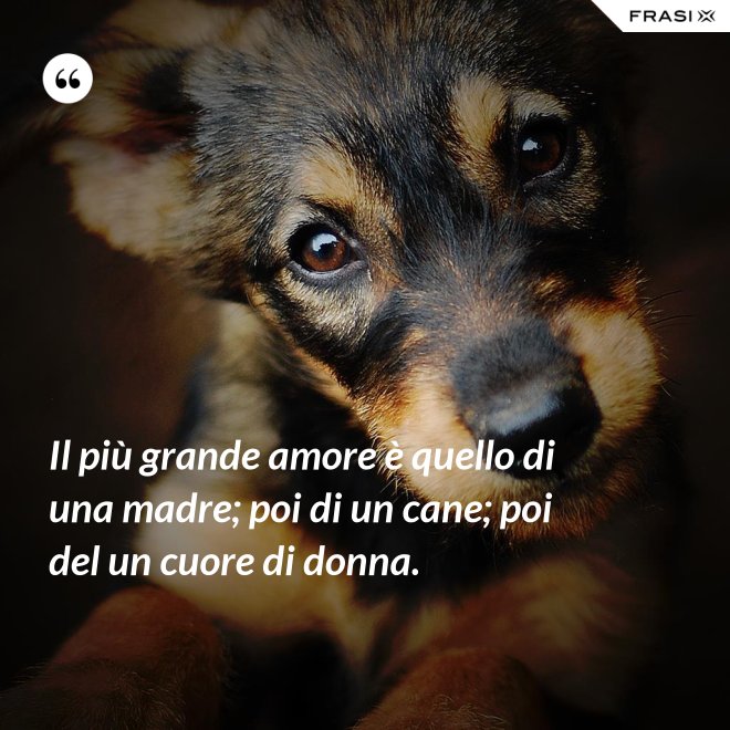 Il più grande amore è quello di una madre; poi di un cane; poi del un cuore di donna. - Anonimo